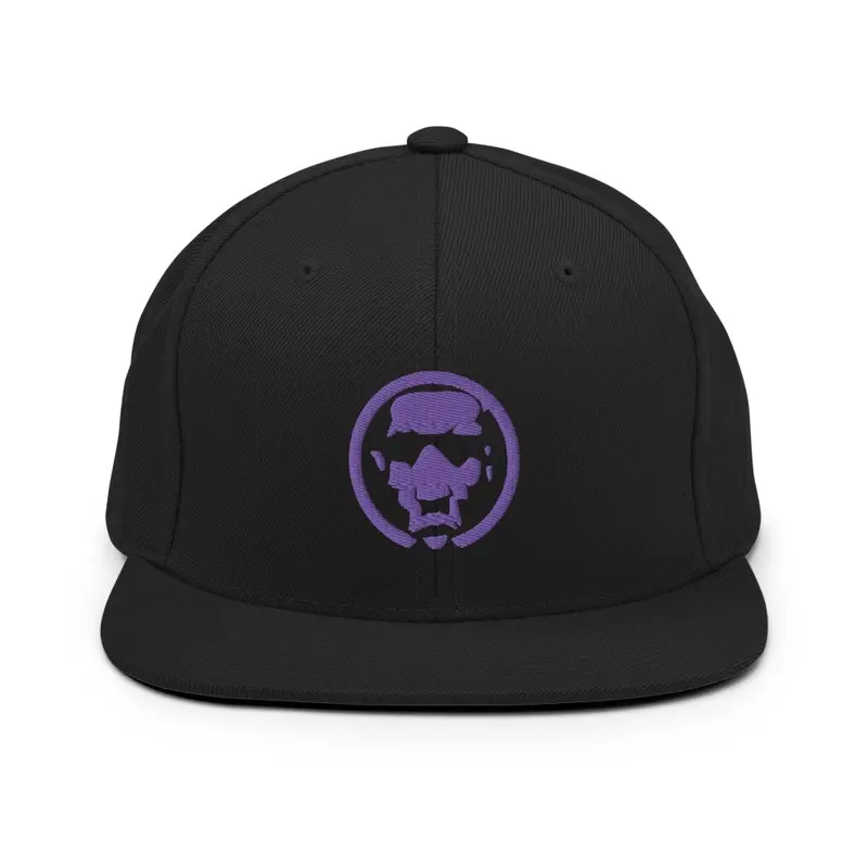 Purple Arc Tag Snapback 